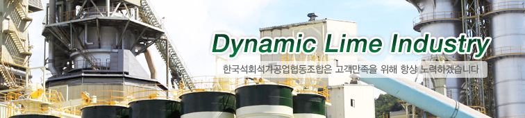 Dynamic Lime Industry 