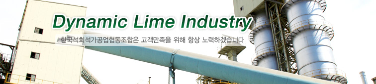 Dynamic Lime Industry 