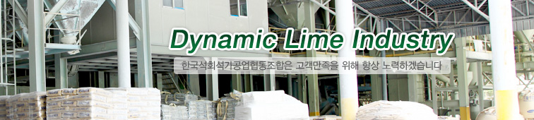 Dynamic Lime Industry 